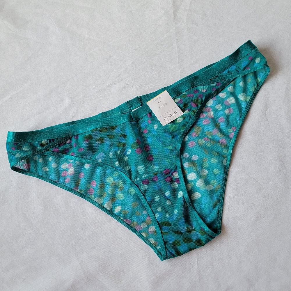 NWT Cheeky Mesh Panties | Auden